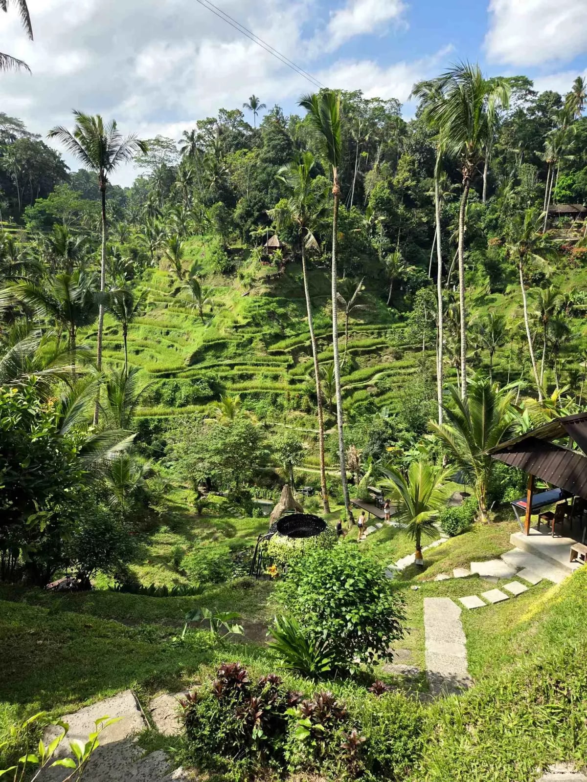 Ubud : temples, rizières, et culture balinaise — 5