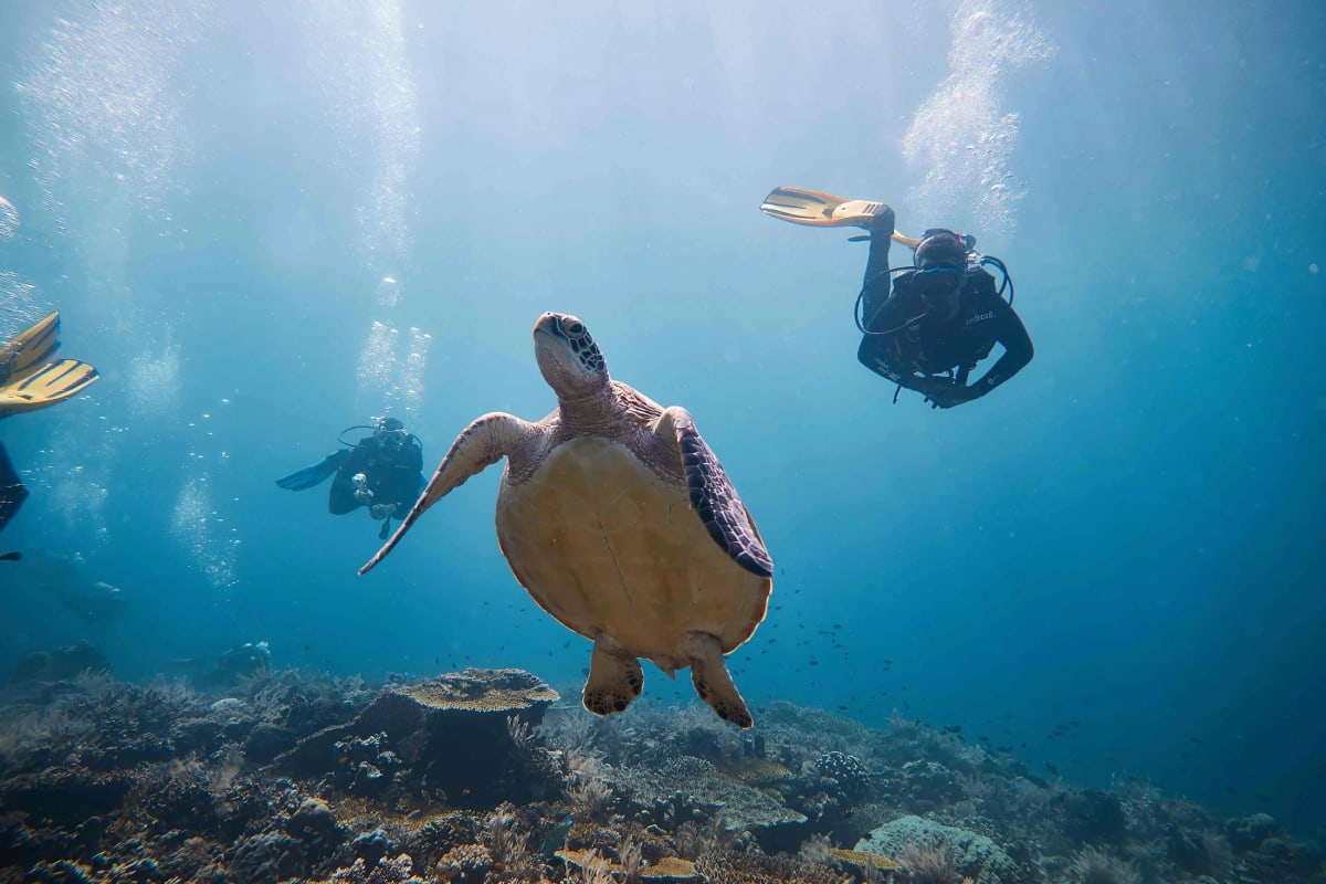 Komodo, entre bateau, dragon et fond marin — 2