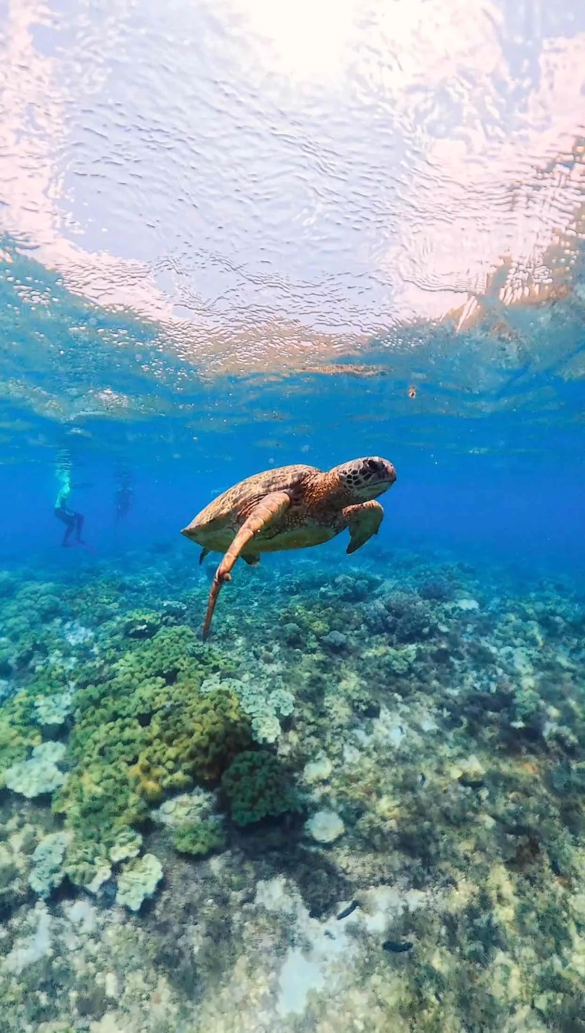 Siquijor, l’équilibre parfait entre nature, détente et ambiance festive — 5