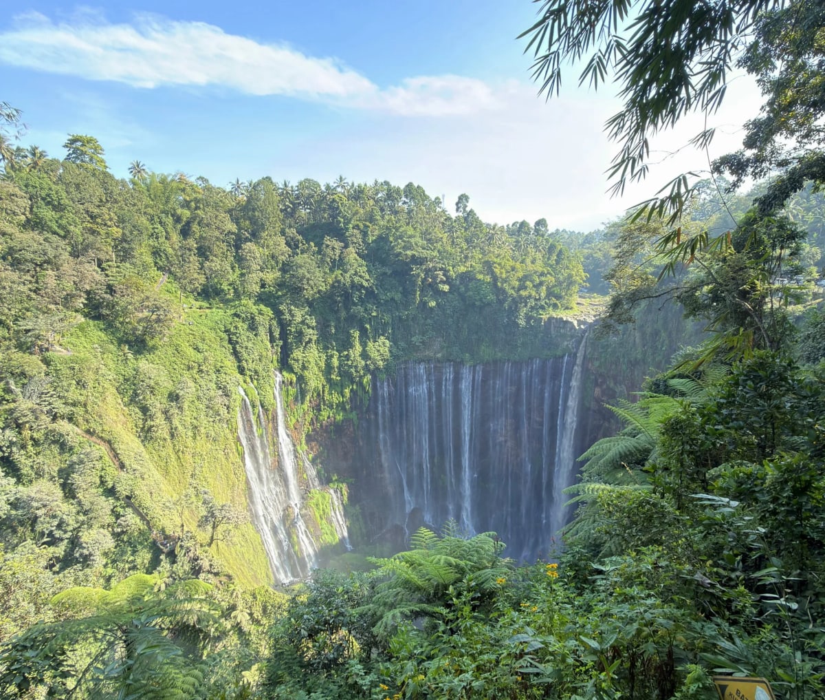 Java de l'Est : quand la nature voit les choses en grand — 1