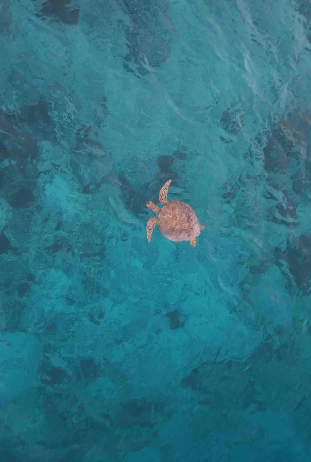 Gili Meno : une erreur de réservation qui valait le détour — 3